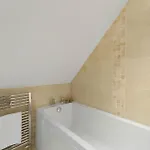 Duckling * 安布尔塞德