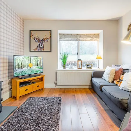 Duckling * آمبيلسايد